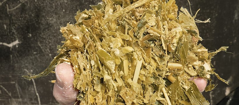 Sieczka sfermentowana -